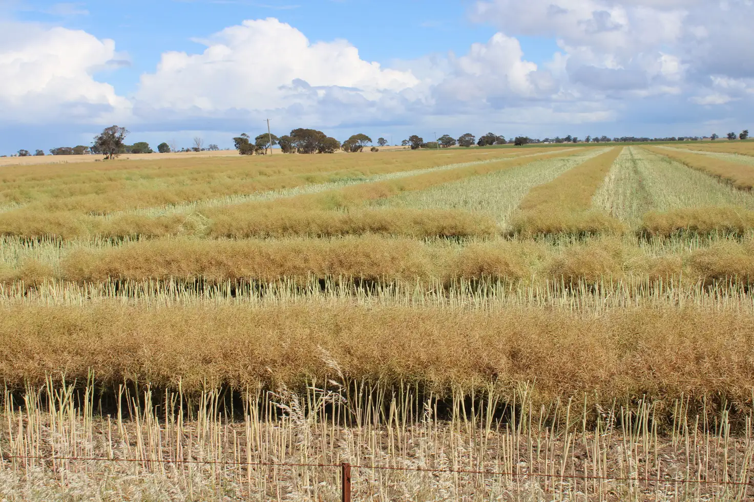 Main view of Homely rural property listing, Address available on request