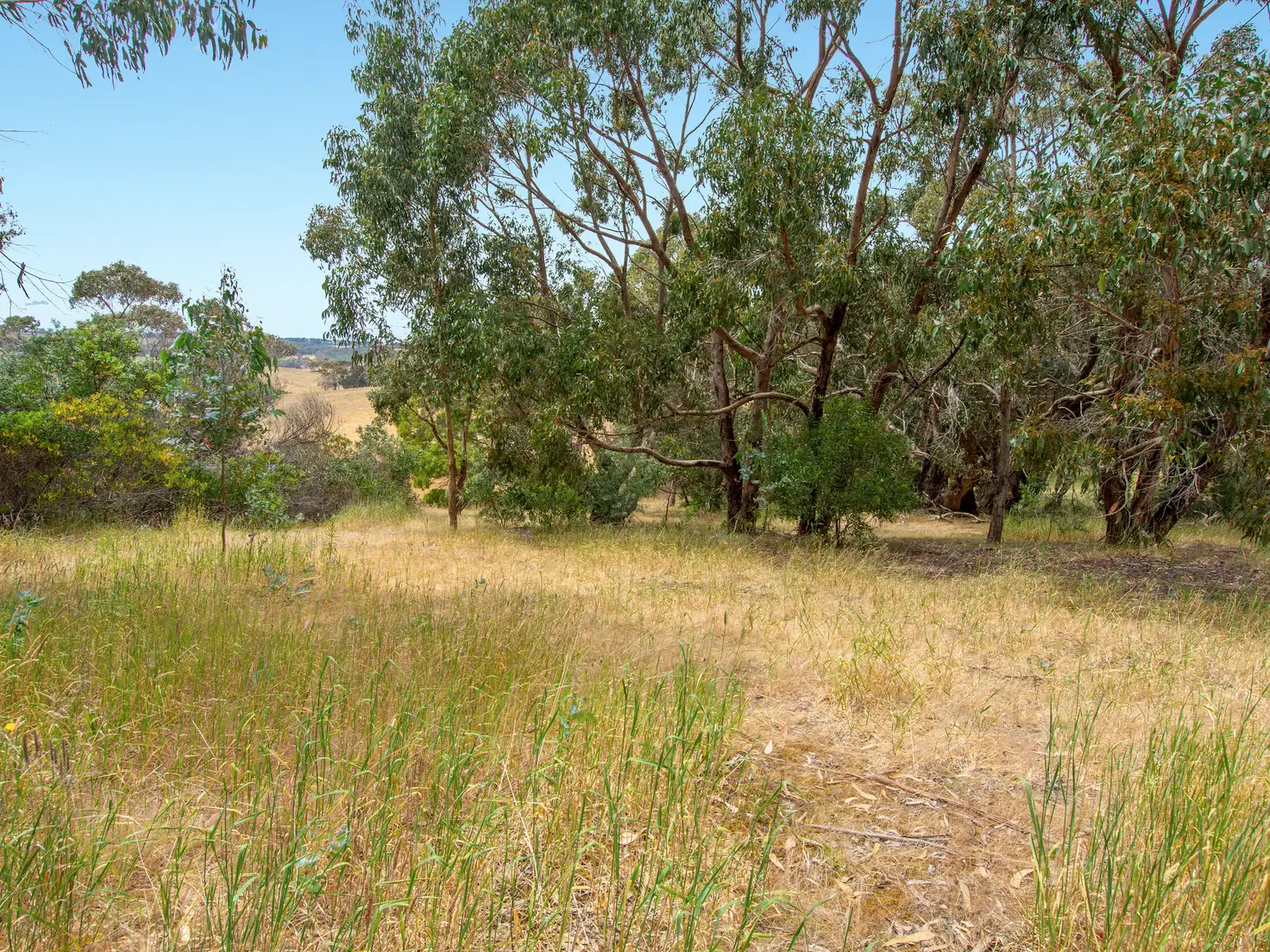 Main view of Homely land listing, LOT 17 Rarkang Road, Silverton SA 5204