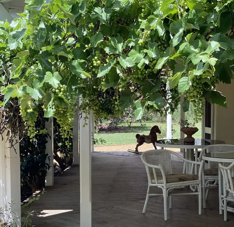 Second view of Homely rural property listing, "Aramis", 4454 Lachlan Valley Way, Forbes NSW 2871