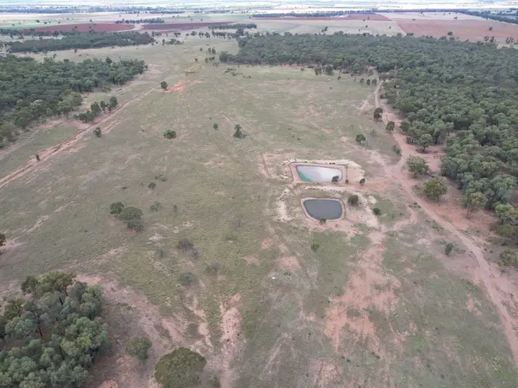 Fourth view of Homely rural property listing, 19/698 Wilga Ridge Road "Emu Plains", Fifield NSW 2875