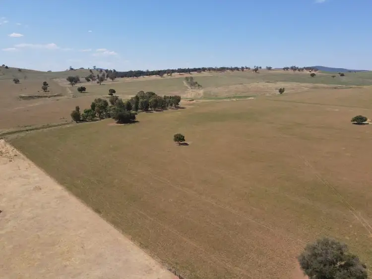 Second view of Homely rural property listing, 593 Meadowbank Road, Eugowra NSW 2806