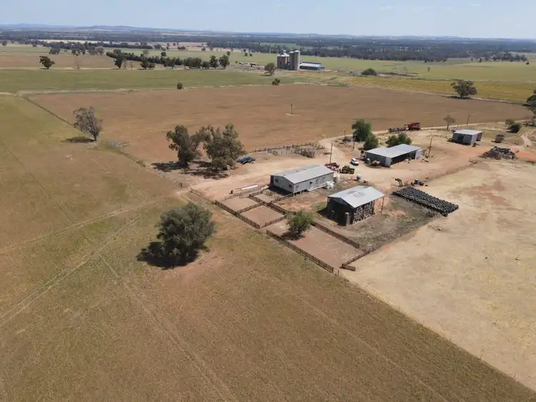 Third view of Homely rural property listing, 593 Meadowbank Road, Eugowra NSW 2806