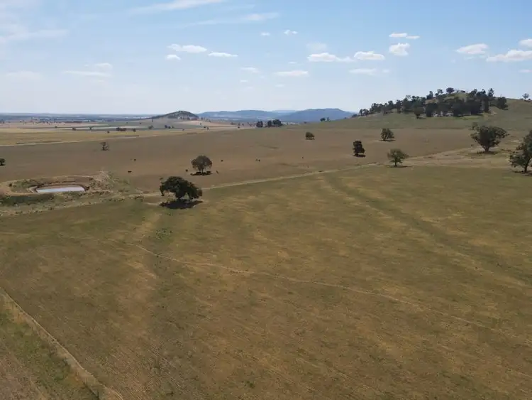 Fifth view of Homely rural property listing, 593 Meadowbank Road, Eugowra NSW 2806