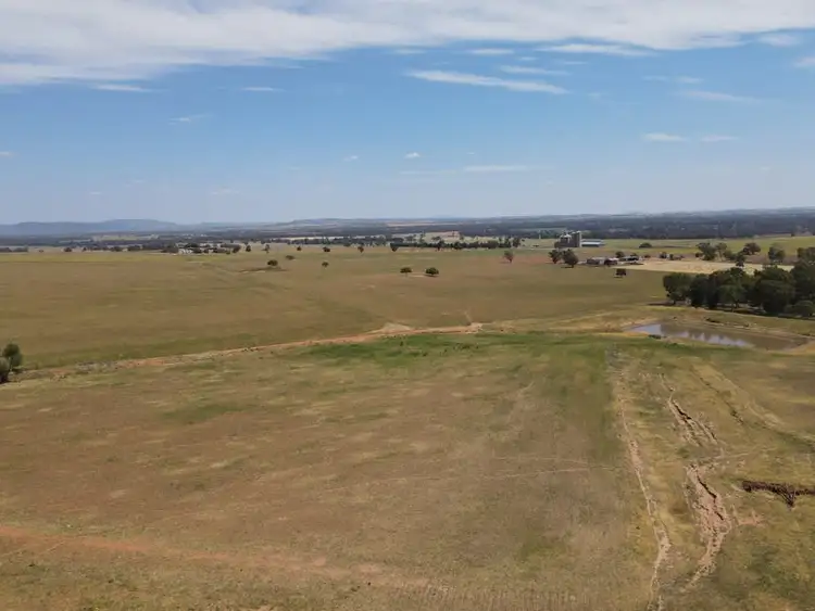 Sixth view of Homely rural property listing, 593 Meadowbank Road, Eugowra NSW 2806