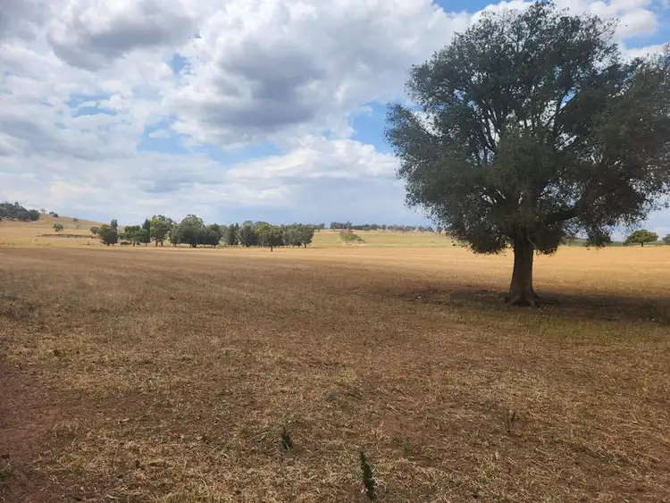 Seventh view of Homely rural property listing, 593 Meadowbank Road, Eugowra NSW 2806