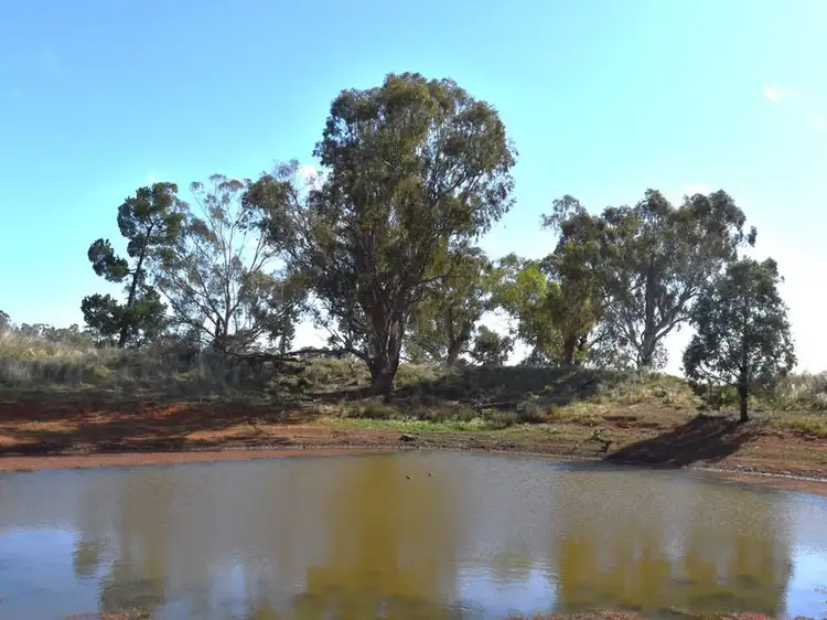 Second view of Homely rural property listing, "Landsdowne" 3291 Wirrinya Road, Forbes NSW 2871