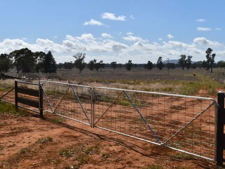 Third view of Homely rural property listing, "Landsdowne" 3291 Wirrinya Road, Forbes NSW 2871