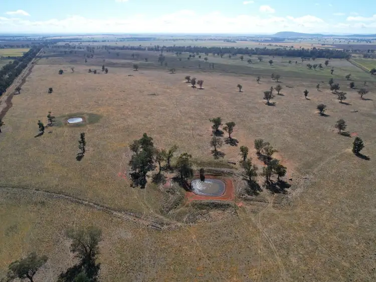 Fifth view of Homely rural property listing, "Landsdowne" 3291 Wirrinya Road, Forbes NSW 2871
