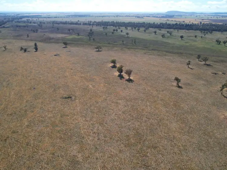 Sixth view of Homely rural property listing, "Landsdowne" 3291 Wirrinya Road, Forbes NSW 2871