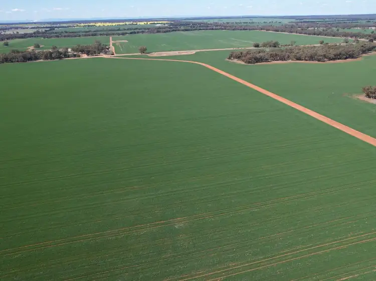Main view of Homely rural property listing, "Tulla" 4243 Peak Hill - Tullamore Road, Trundle NSW 2875