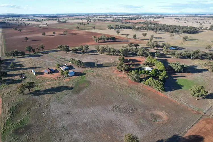 "Hermies", 593 Yarrangong Road, Forbes NSW 2871