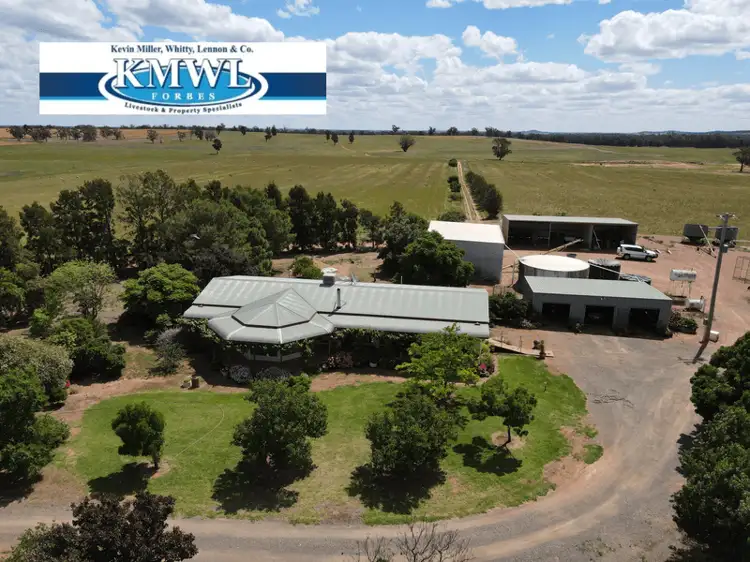 Main view of Homely rural property listing, "Wheogo", 893 Deaths Lane, Caragabal NSW 2810