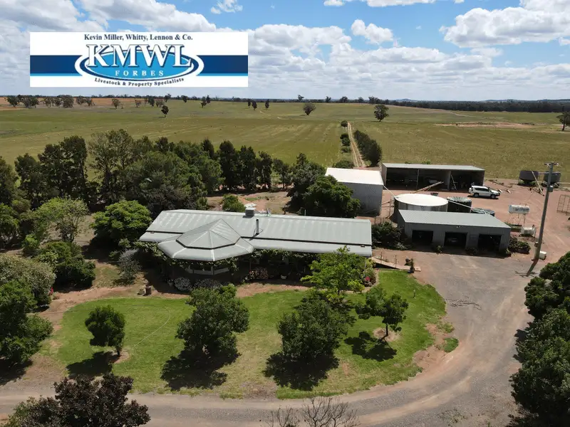 Main view of Homely rural property listing, "Wheogo", 893 Deaths Lane, Caragabal NSW 2810