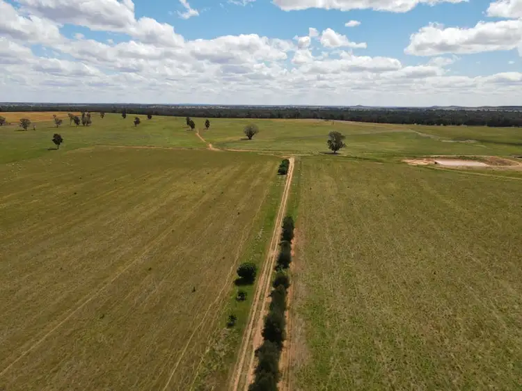 Fourth view of Homely rural property listing, "Wheogo", 893 Deaths Lane, Caragabal NSW 2810