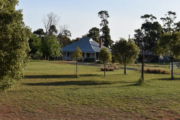 "Sunbury", 9489 The Bogan Way, Tullamore NSW 2874