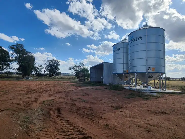 Third view of Homely rural property listing, "Sunbury", 9489 The Bogan Way, Tullamore NSW 2874