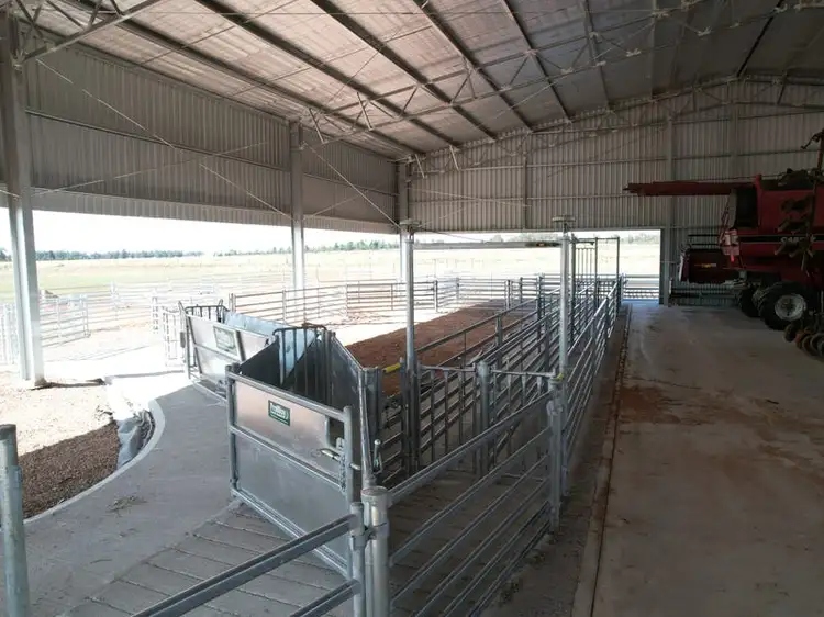 Fourth view of Homely rural property listing, "Sunbury", 9489 The Bogan Way, Tullamore NSW 2874
