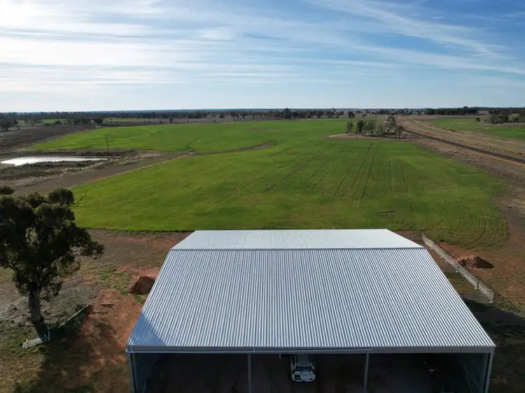 Fifth view of Homely rural property listing, "Sunbury", 9489 The Bogan Way, Tullamore NSW 2874
