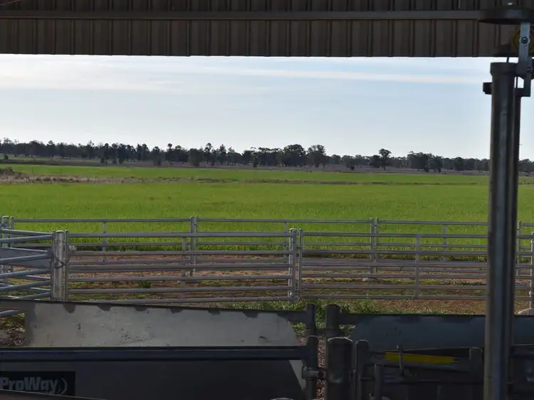 Sixth view of Homely rural property listing, "Sunbury", 9489 The Bogan Way, Tullamore NSW 2874