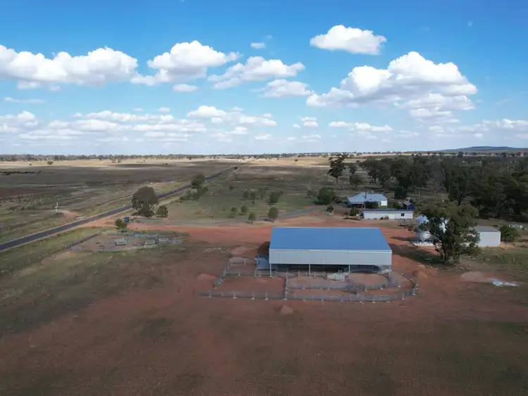 Seventh view of Homely rural property listing, "Sunbury", 9489 The Bogan Way, Tullamore NSW 2874