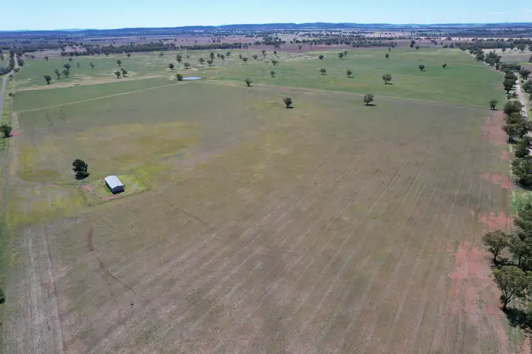 "Ben Hall Park" Yarrangong Road, Forbes NSW 2871