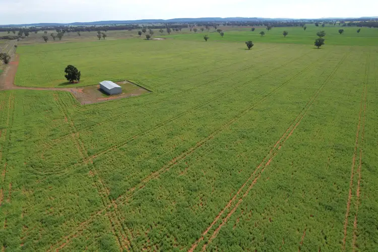 Second view of Homely rural property listing, "Ben Hall Park" Yarrangong Road, Forbes NSW 2871