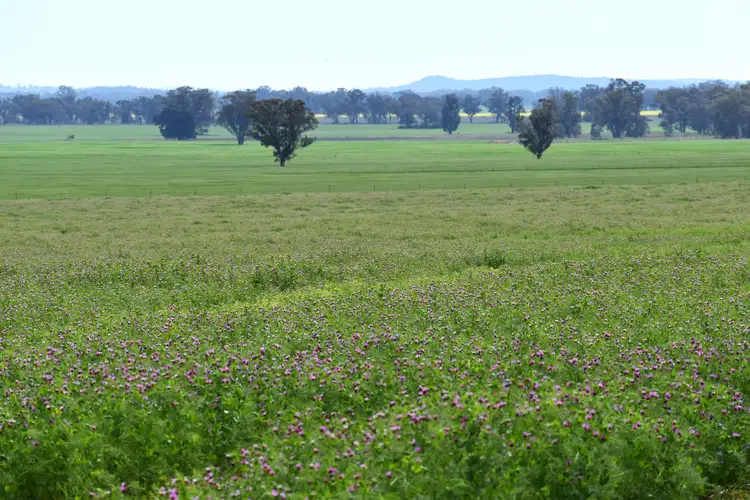 Fourth view of Homely rural property listing, "Ben Hall Park" Yarrangong Road, Forbes NSW 2871
