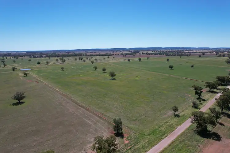 Seventh view of Homely rural property listing, "Ben Hall Park" Yarrangong Road, Forbes NSW 2871