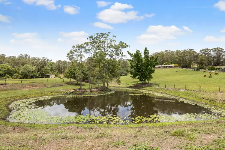 Second view of Homely rural property listing, 249 Highlands Road, Eudlo QLD 4554