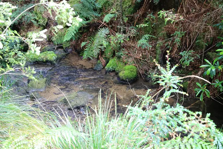 Main view of Homely land listing, Spur 5 Meryanna Road, Trowutta TAS 7330
