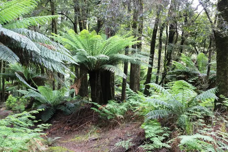 Second view of Homely land listing, Spur 5 Meryanna Road, Trowutta TAS 7330