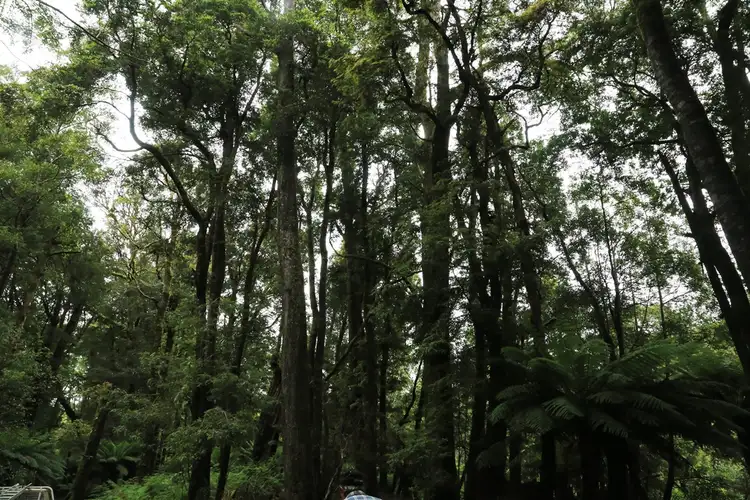 Sixth view of Homely land listing, Spur 5 Meryanna Road, Trowutta TAS 7330