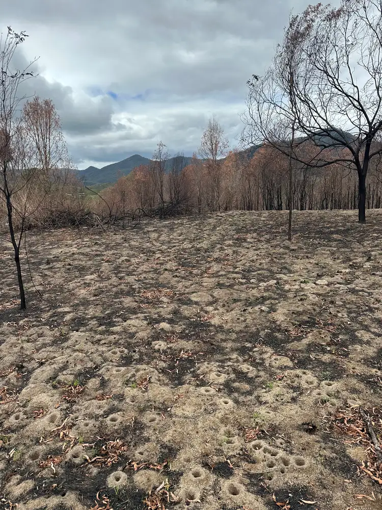 Main view of Homely land listing, LOT 57 Edward Street, Mount Perry QLD 4671