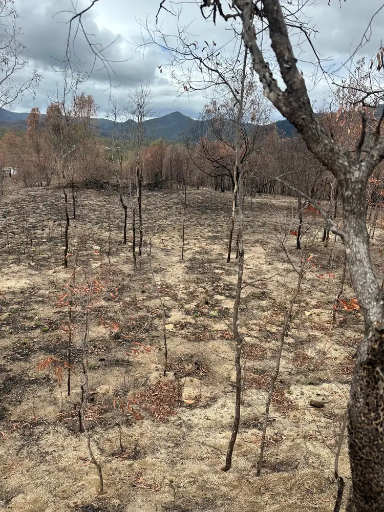 Third view of Homely land listing, LOT 57 Edward Street, Mount Perry QLD 4671