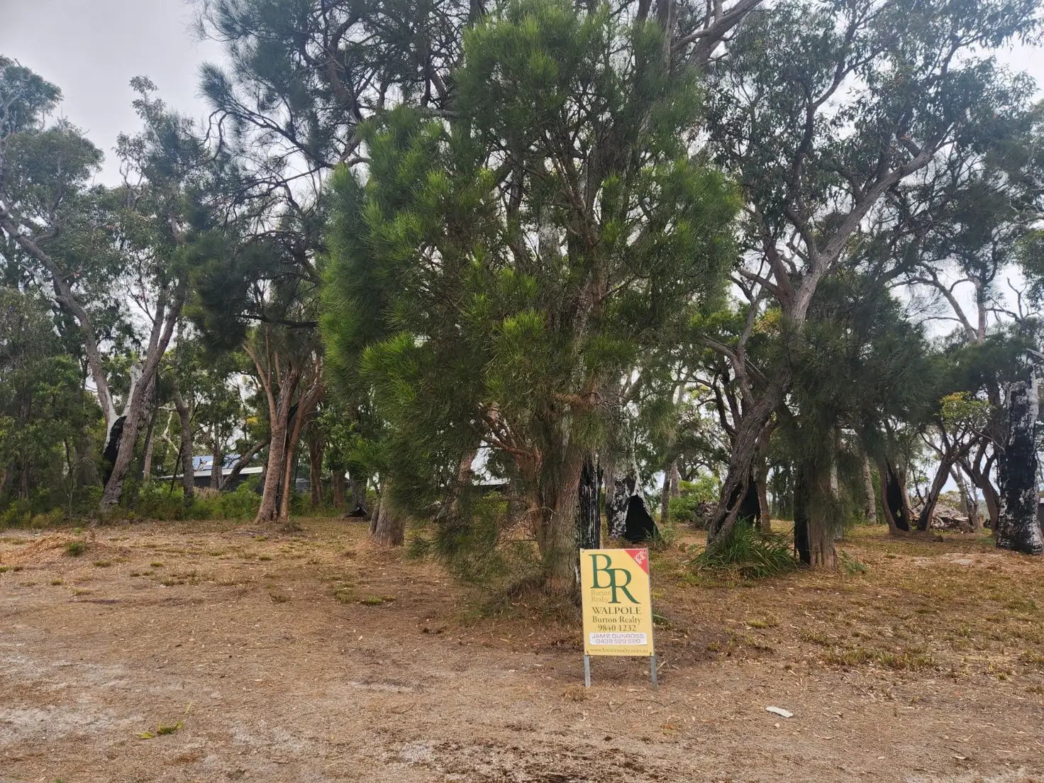 Main view of Homely land listing, 10 Merlot Street, Walpole WA 6398
