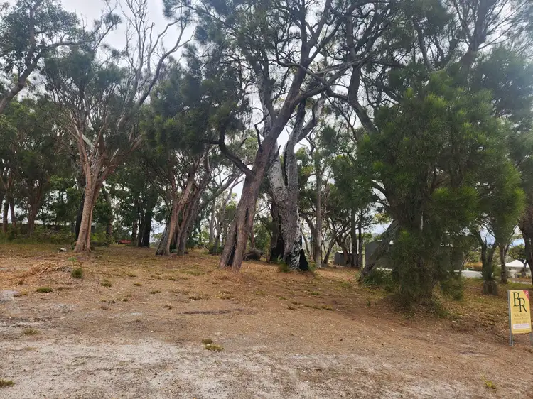 Second view of Homely land listing, 10 Merlot Street, Walpole WA 6398