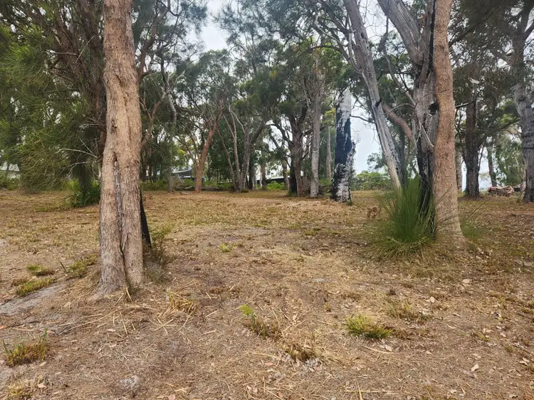 Third view of Homely land listing, 10 Merlot Street, Walpole WA 6398