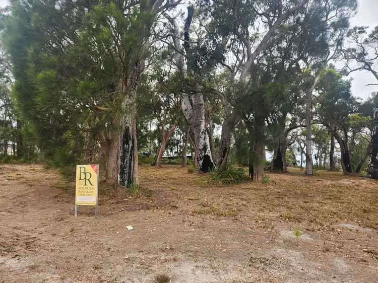 Fourth view of Homely land listing, 10 Merlot Street, Walpole WA 6398