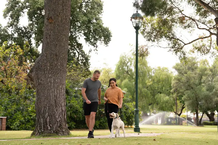 Third view of Homely townhouse listing, PROSPECT CORNER - Lot 11, Prospect SA 5082