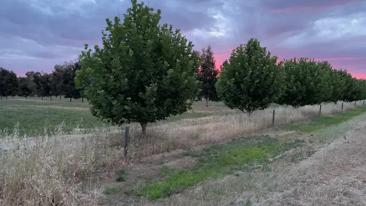 Fifth view of Homely land listing, 216 NORTH BARHAM ROAD, Barham NSW 2732