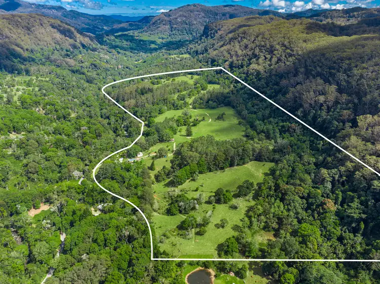 870 Wilsons Creek Road, Wilsons Creek NSW 2482