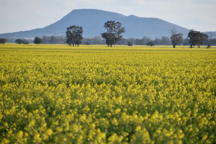 "Oomaville & Devon" 3497 Henry Lawson Way, Ooma NSW 2871