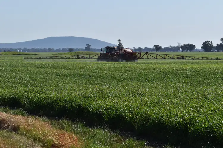 Second view of Homely rural property listing, "Oomaville & Devon" 3497 Henry Lawson Way, Ooma NSW 2871