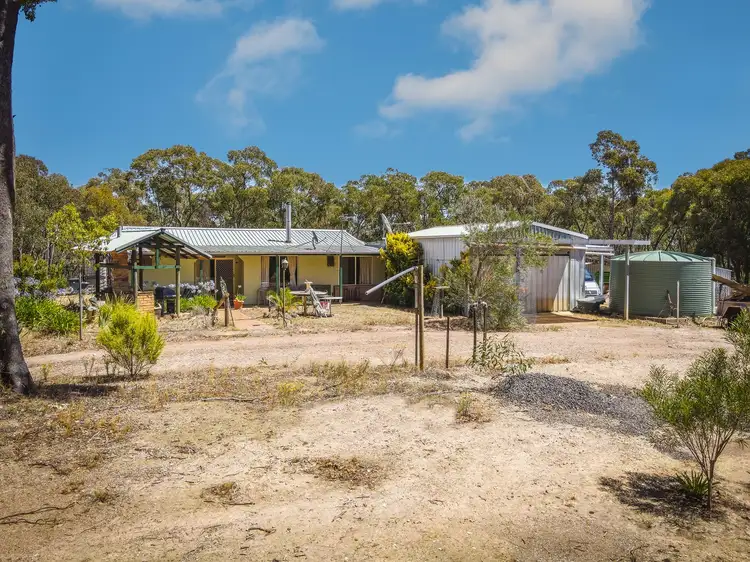 Main view of Homely rural property listing, 75 Ottreys Scrub Road, Walmer VIC 3463
