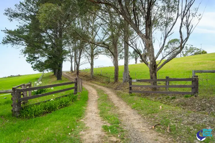 Second view of Homely rural property listing, 8217 Princes Highway, Central Tilba NSW 2546