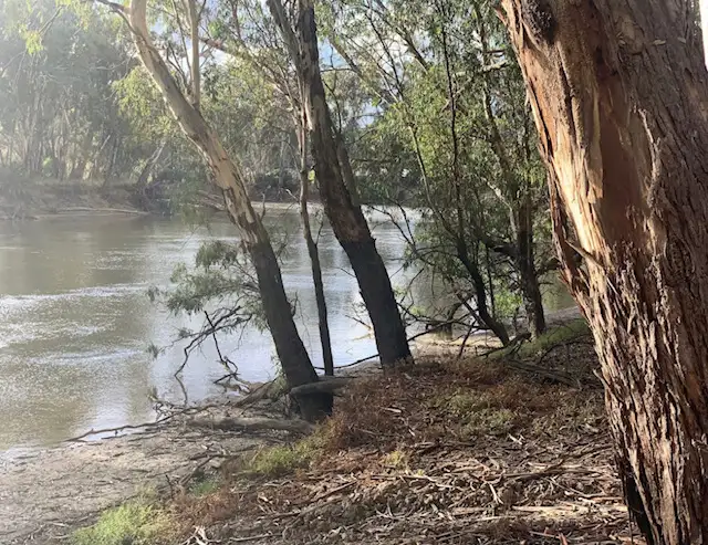 Main view of Homely rural property listing, 215 NORTH BARHAM ROAD, Barham NSW 2732