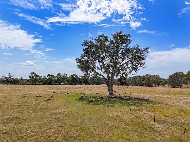 Seventh view of Homely rural property listing, Glenelg Highway, Bochara VIC 3301