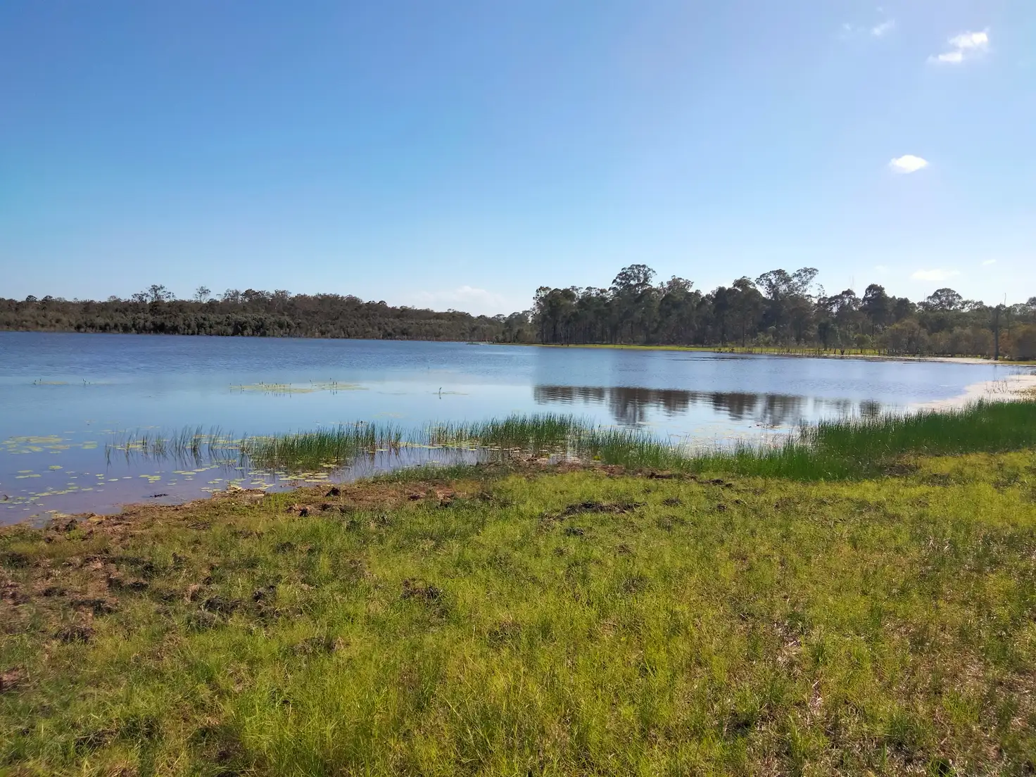 Main view of Homely rural property listing, 2913 Rosedale Road, Yandaran QLD 4673