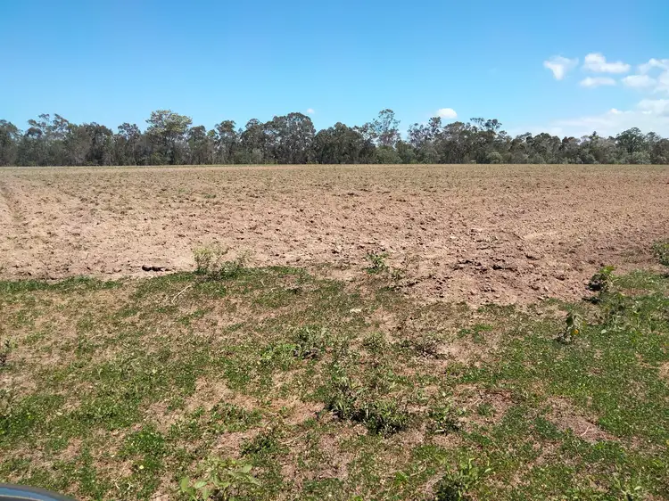 Fifth view of Homely rural property listing, 2913 Rosedale Road, Yandaran QLD 4673