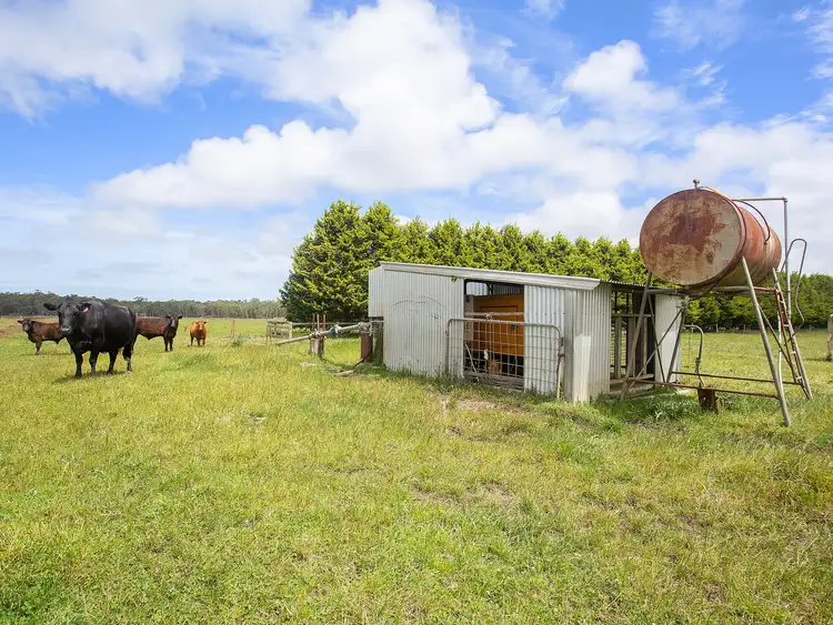 Fourth view of Homely rural property listing, 931 Gorae Road, Gorae VIC 3305
